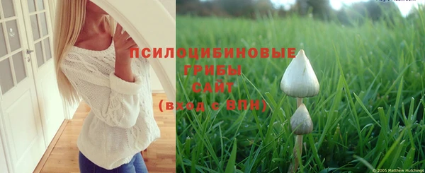 амф Арсеньев